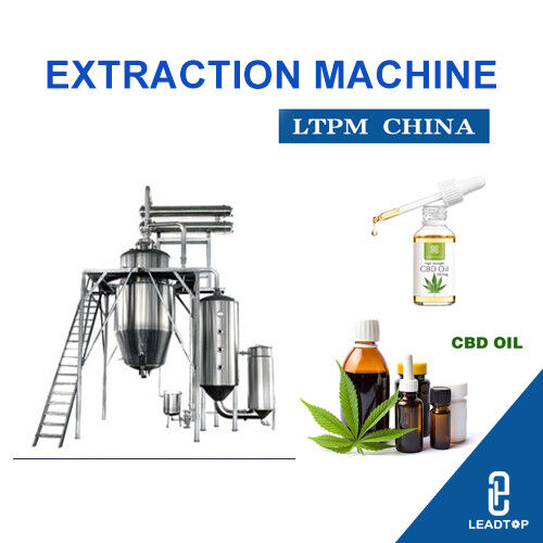 Neueste Unternehmensnachrichten über Lesotho löst auf medizinischem Hanfboom ein, während britisches Unternehmen CBD-Fabrik öffnet