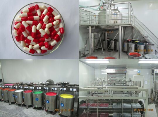 Guter Preis Lösen Sie schnell vegetarisches leeres Gel einkapselt HPMC-Größe 00/0/1 auf Online