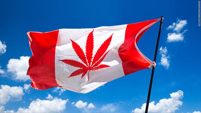 Kanada-Hanfkäufer mischen Handelszentrum Drogen bei