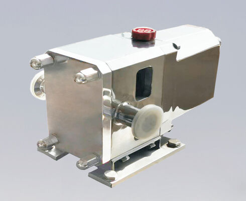 Guter Preis Hohe Viskosität Schlammbehandlung Sanitär-Kamm-Rotorpumpe EHEDG Zertifizierte CIP SIP bereit Niedrigscheren-Design Für Lebensmittel Pharma Chemische Verarbeitung Online